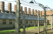 „Lager polacco”. Włoska posłanka robi z Auschwitz „polski obóz”