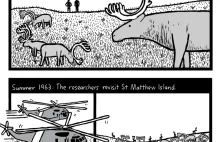Historia reniferów na Wyspie Św. Mateusza