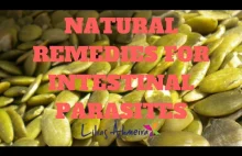 Natural Remedies For Intestinal Parasites