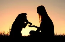Pies a człowiek - czy nasz charakter ma wpływ na wybór pupila?