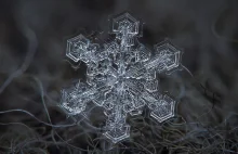 Niesamowite makro-zdjęcia płatków śniegu