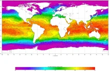 Aktualna temperatura oceanów i mórz