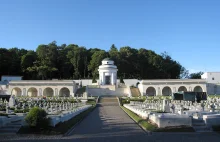 SBU: Zamach na Cmentarz Orląt Lwowskich zamówiły rosyjskie służby