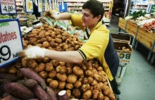 Bruksela wydaje 1,8 miliona funtów na kampanię promującą... ziemniaki