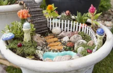Mermaid Garden - zagraniczna inspiracja ogrodowa, która podbije świat