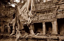 Trasa zwiedzania kompleksu Angkor Wat wynosi 31 km!!!