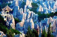 Kamienny Las w Yunann