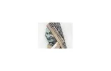 Moneygami - niezwykła sztuka składania banknotów