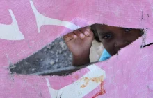 Mętne tłumaczenia Czerwonego Krzyża w sprawie pomocy dla Haiti