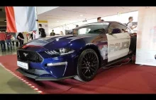 Mustang Police