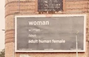 Billboard ze słownikową definicją słowa "kobieta" usunięty [ENG]