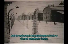 Prawda za bramami Auschwitz