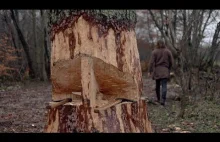 Jak wikingowie ścinali duże drzewa?