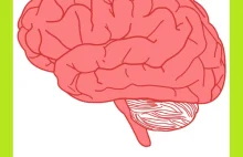 Największy mózgowy mit - Ciekawe Zdrowie