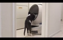 Samoczyszcząca kuweta dla kota z kosmosu