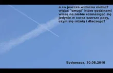 Smuga kondensacyjna contrails i chemtrails Bydgoszcz 30.08.2016