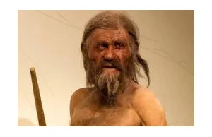 Nareszcie wiadomo, jaki był ostatni posiłek Ötzi’ego - słynnego "człowieka lodu"
