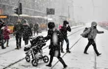 Zima uderza w Polskę. Ostrzeżenia dla 7 województw