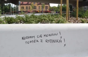 Tomku z Rybnika, tak się nie robi! To były nowe ławki!