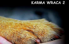 Podaj łapę: karma wraca - druga edycja charytatywnego koncertu w Poznaniu!