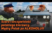 Szara rzeczywistość polskiego kierowcy. Mądry Polak po ALKOHOLU!!