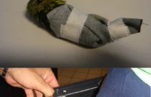nietypowa metoda przemycania kolibrów