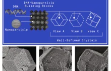 Kryształy z nanocząsteczek połączonych DNA