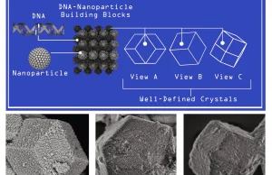 Kryształy z nanocząsteczek połączonych DNA