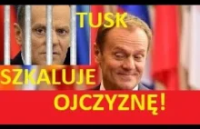 Donald Tusk i jego "ZDRADZIECKIE" wypowiedzi wobec swojej ojczyzny Polski