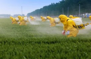 Masowe podtruwanie poprzez oszustwo: Monsanto i EPA ukrywały rakotwórcze...