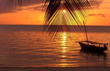 Zanzibar, wyspa o idyllicznych plażach i alabastrowej tafli oceanu