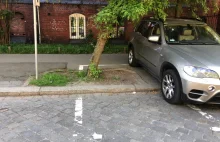 Płatny parking wygląda jak drogowa partyzantka. Tak się parkuje we Wrocławiu