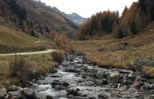 Mountain stream in the Alps, South Tyrol - -Video