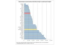 Wydatki Polaków na energię na tle innych krajów