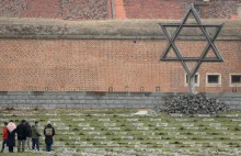 2,5 miliona Brytyjczyków uważa, że Holokaust to mit [ENG]