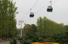 Park Śląski- Na drzewie wisiało ciało kobiety.