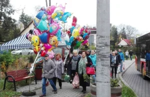 Człowiek idzie zapalić znicz... i przebija się między balonami i słodyczami