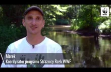 Zaopiekuj się rzeką!