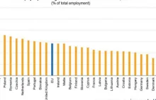 Polska krajem samozatrudnionych. Jesteśmy na 3. miejscu w UE [DANE EUROSTATU]