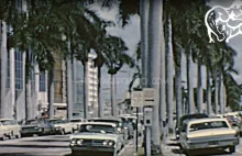 Miami w 1965 roku