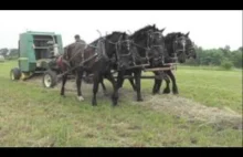 Prasowanie siana u Amiszów