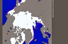 Lód w Arktyce przyrastał bardzo powoli