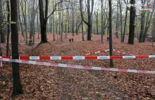 Znaleziono zwłoki niedaleko miejsca piknikowego w Katowicach. Na ciele są...