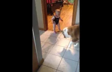 Pies uczy dziecko skakać :D