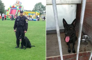 Myślibórz: przełożeni złośliwe zabrali policjantowi psa