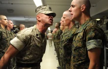 Zdjęcia instruktorów Piechoty Morskiej USA wydzierających się na podopiecznych