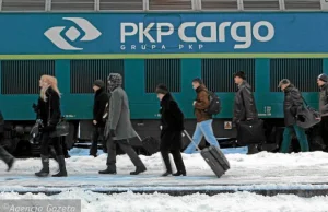 Świetny debiut PKP Cargo: niemal 18% zysku. Druga w Europie spółka kolejowa!