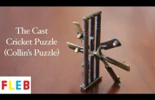 The Cast Cricket Puzzle