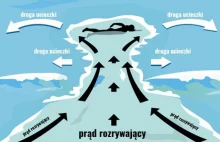 To może wciągnąć Twoje dziecko na dno morza w 1 sekundę? Wiedziałaś?