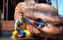 Russian Fisherman (Roman Fedortsov) posts photos of the most bizarre deep...